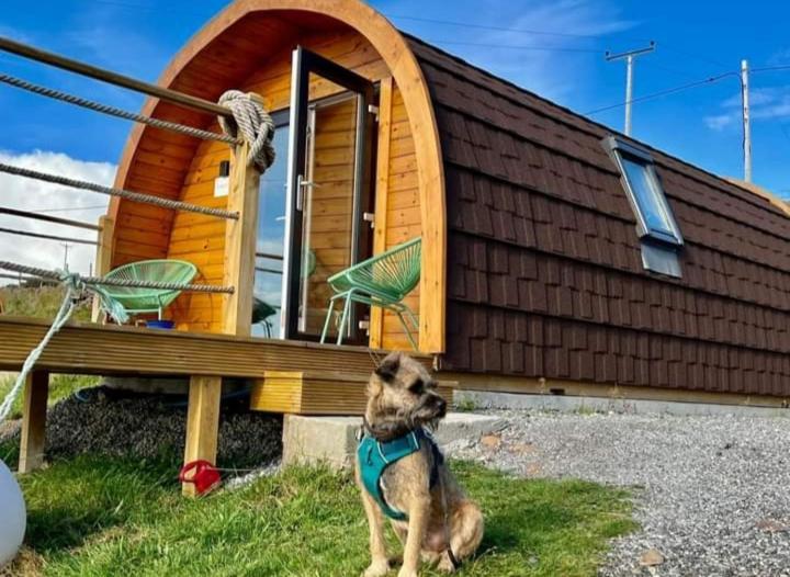 The Sleepy Crofter Glamping - Achiltibuie Hotel Kültér fotó